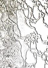 o01jpg